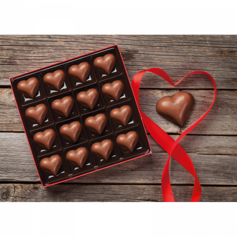 Silicolife Heart Shape Chocolate & Ice Mold